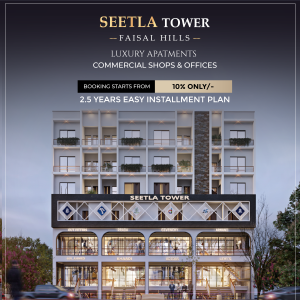 Seetla Tower- Faisal Hills